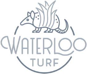 Waterloo Turf Fort Collins