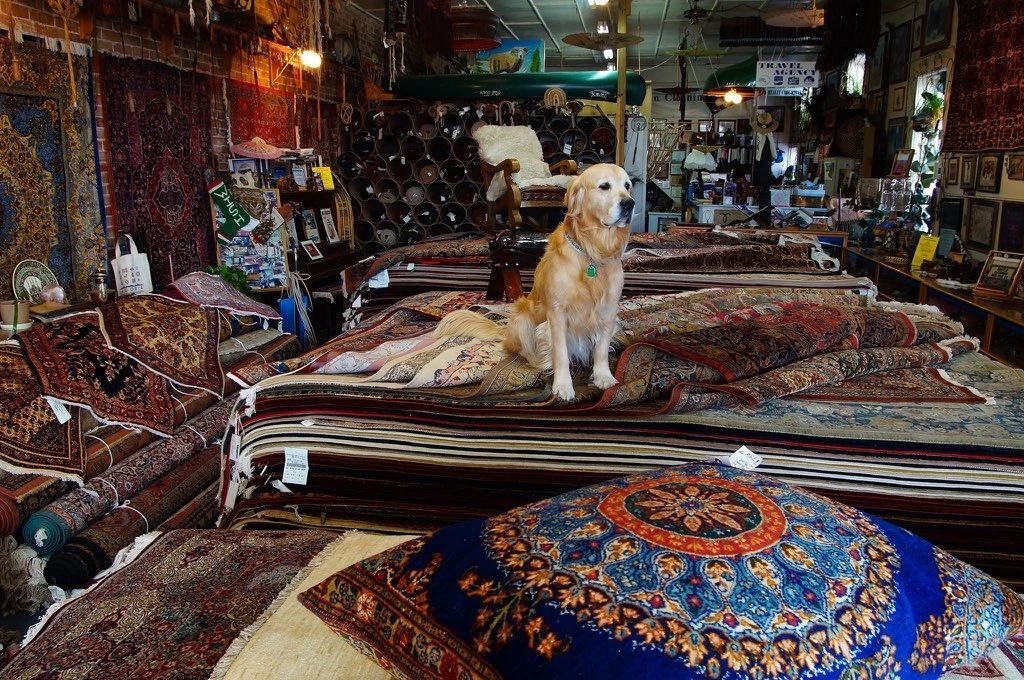 Castle Cleaning & Oriental Rug Company