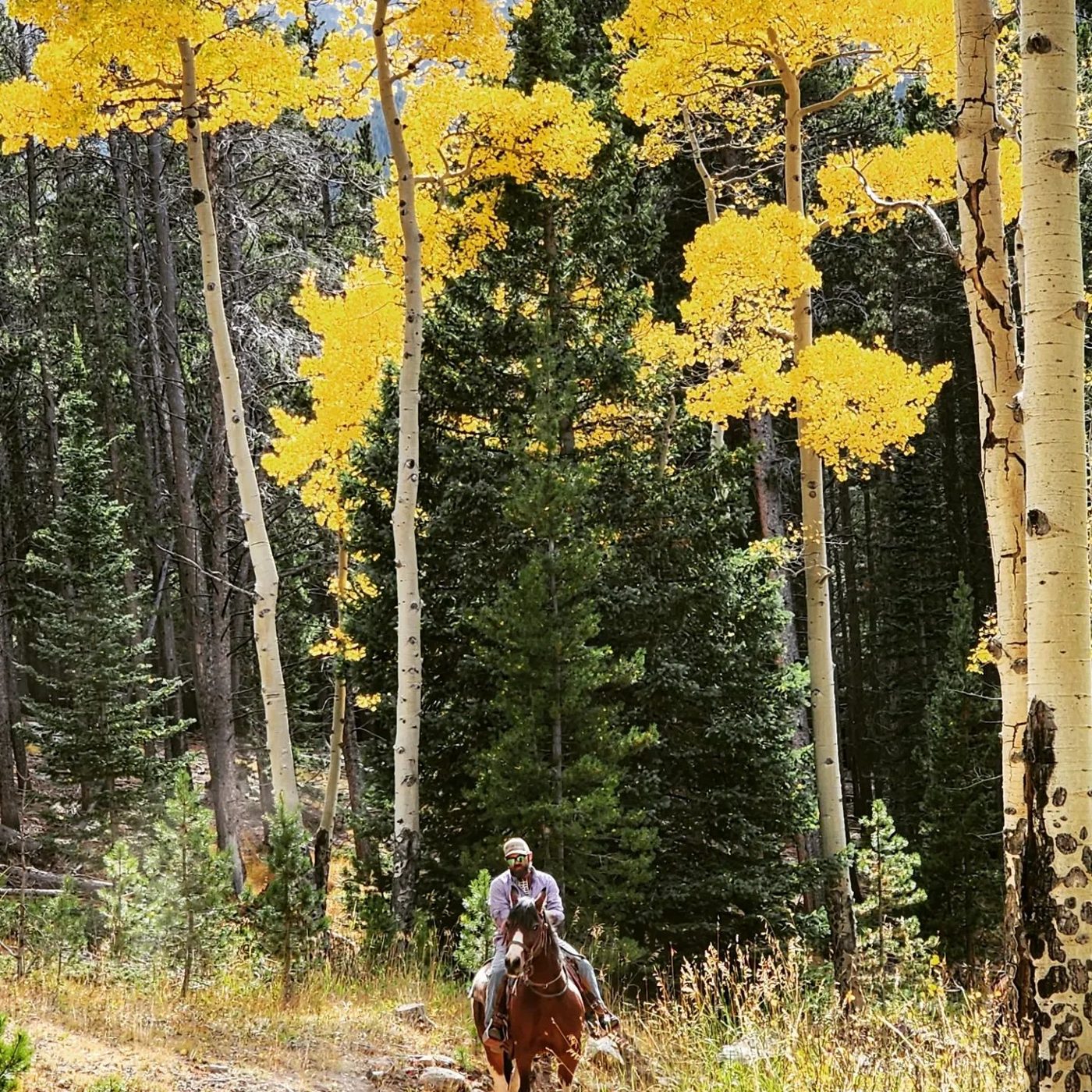 Elkhorn Stables
