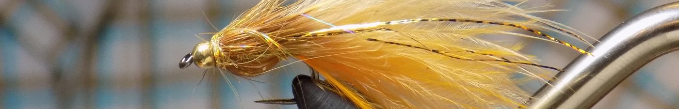 Estes Angler