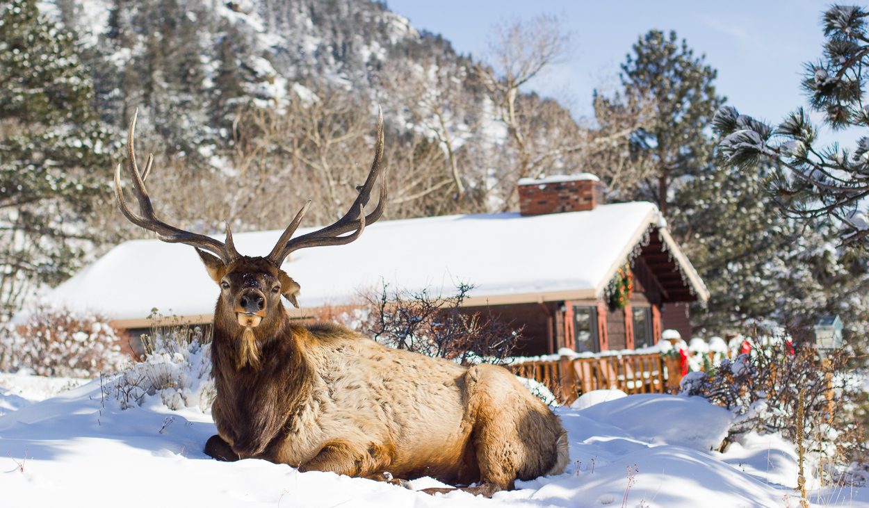 McGregor Mountain Lodge